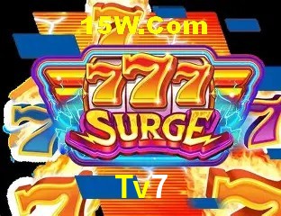 Sistemas de Segurança Tv7